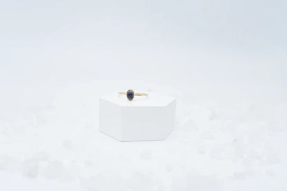 Annie Awe Design - Montana Sapphire Ring