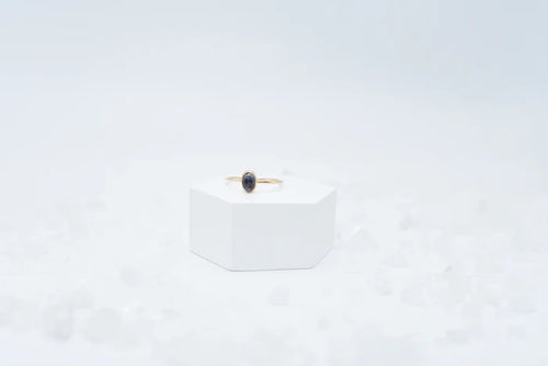 Annie Awe Design - Montana Sapphire Ring