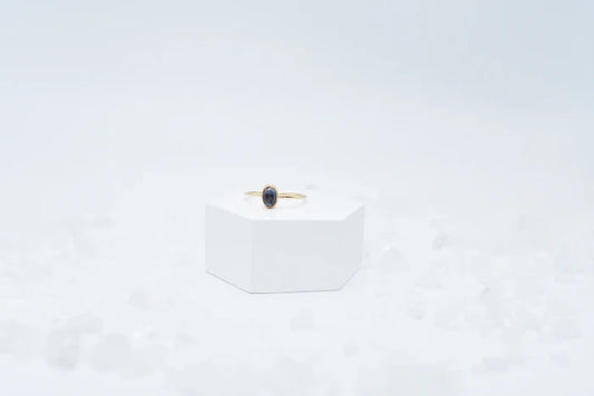 Annie Awe Design - Montana Sapphire Ring