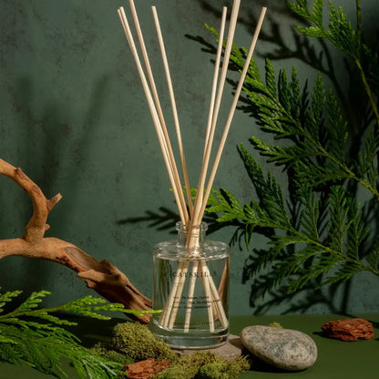 Brooklyn Candle Studio – Catskills Reed Diffuser