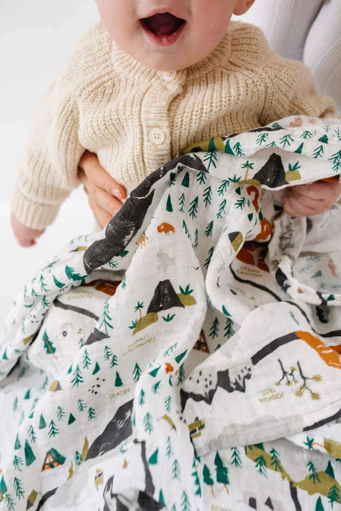 Clementine Kids – National Parks Swaddle Mini Pattern