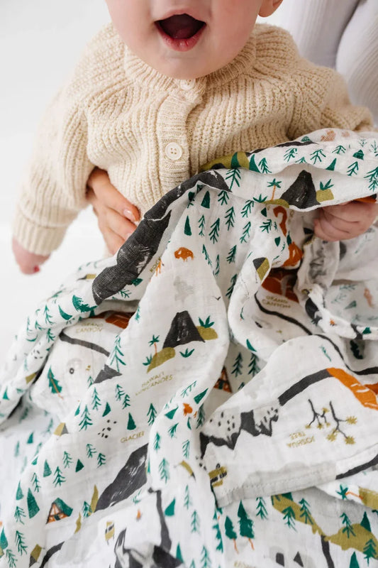 Clementine Kids – National Parks Swaddle Mini Pattern