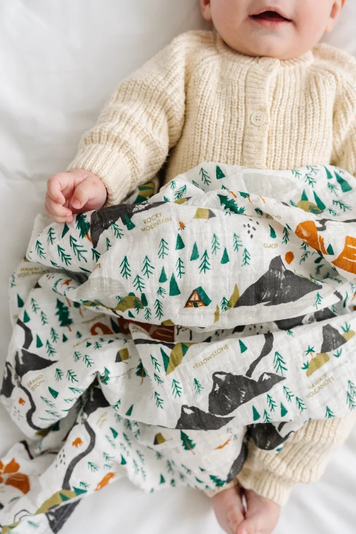 Clementine Kids – National Parks Swaddle Mini Pattern