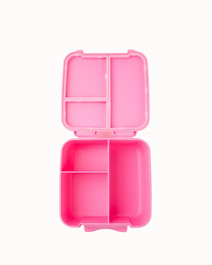 Montiico Bento Bite Lunch Box - Floss