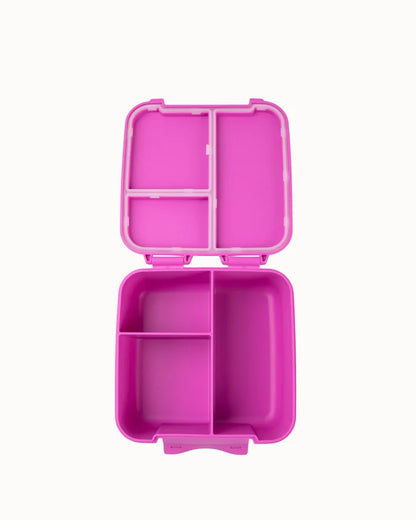 Montiico Bento Bite Lunch Box - Fuchsia