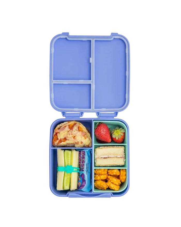 Montiico Bento Bite Lunch Box - Splash