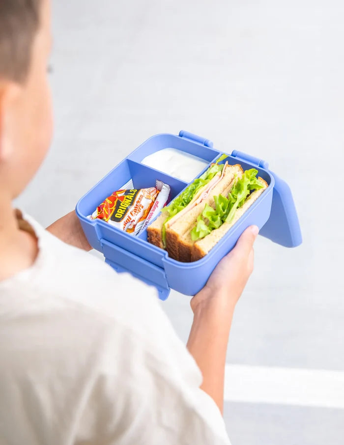 Montiico Bento Bite Lunch Box - Splash