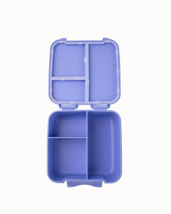 Montiico Bento Bite Lunch Box - Splash