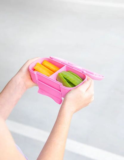Montiico Bento Snack Lunch Box - Floss