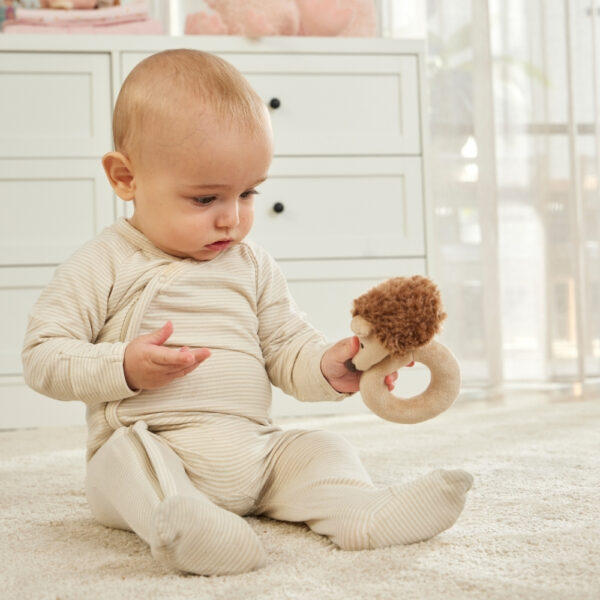 Peanut the Hedgehog Rattle Plush Rattle