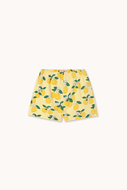 Tiny Cottons – Oranges Rib Shorts