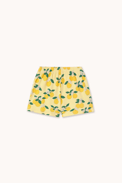 Tiny Cottons – Oranges Rib Shorts